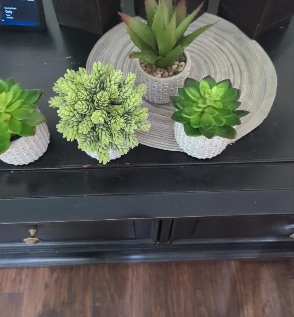 Artificial Succulent 2 Trio Sets (6 Total) in White Ceramic Pots - Home Accents